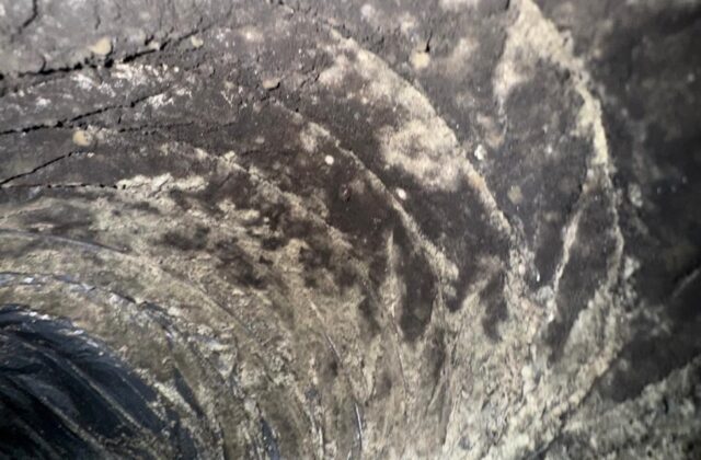 Air-whip line clearing dust inside a flexible duct during a Nuvair cleaning