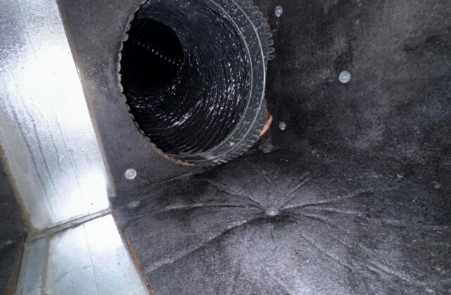 Clean supply plenum interior with flex-duct takeoffs after a Nuvair service