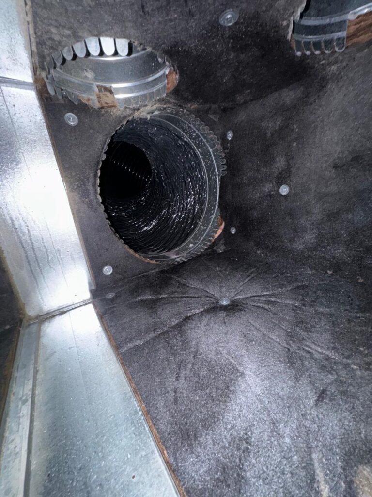 Clean supply plenum interior with flex-duct takeoffs after a Nuvair service